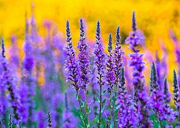 《通灵战士 幽灵舰队与消失的英雄》繁体中文版将于7月24日上市！