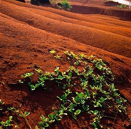 《微软飞行模拟2024》Steam商店页面更新 添加中文支持