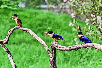 3DM速报：育碧3A售价涨至70刀，343创始人宣布离职关评论